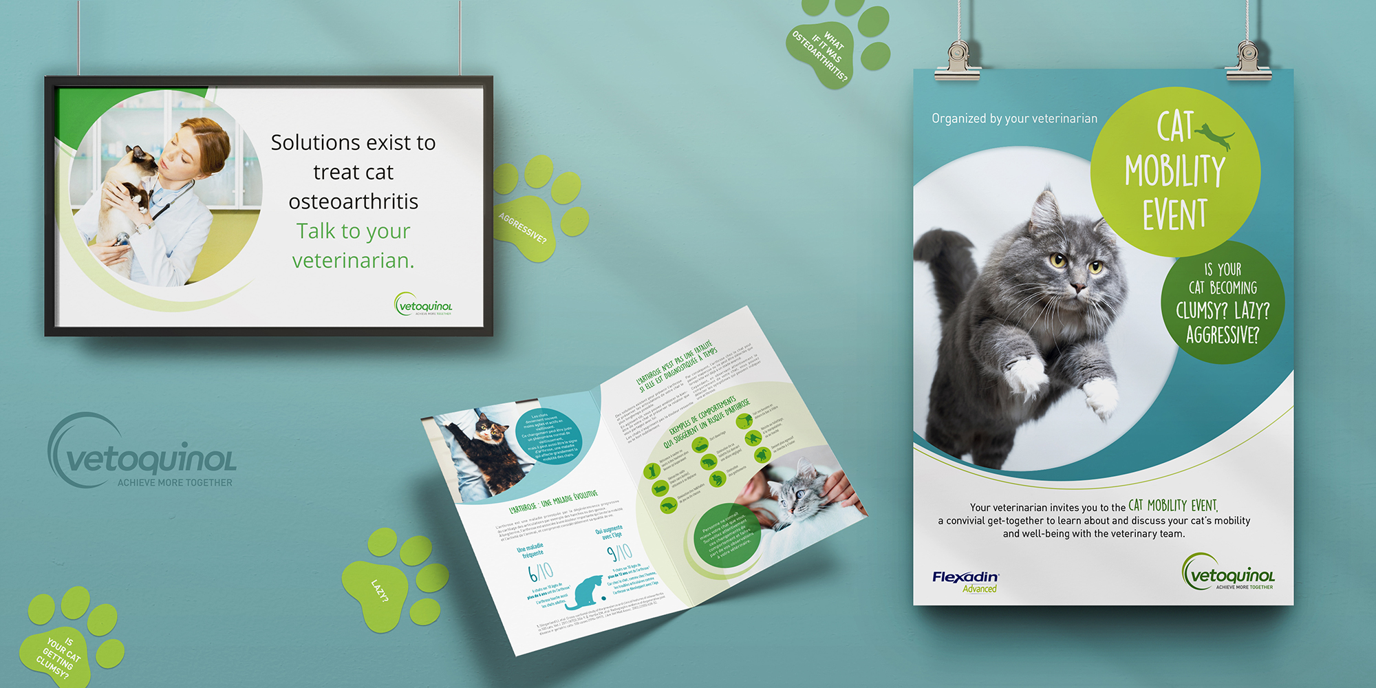 VETO_Poster_PRINTlogo-copi Présentation de la campagne d'information et de dépistage de l'arthrose du chat