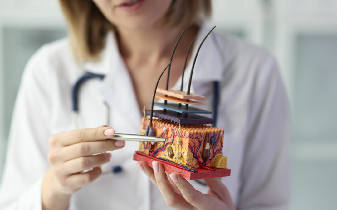 La dermatologie, une spécialité en tension